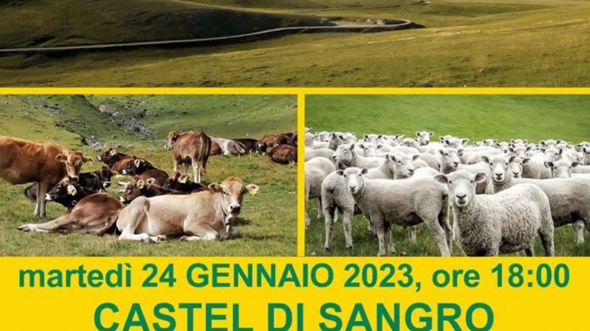 La Coldiretti dell’Aquila incontra gli allevatori del territorio per discutere della opportunità legate alla PAC. Evento in programma a Castel Di Sangro.